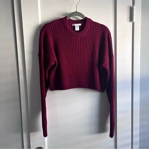 Urban Outfitters Burgundy Crew Neck Sweater